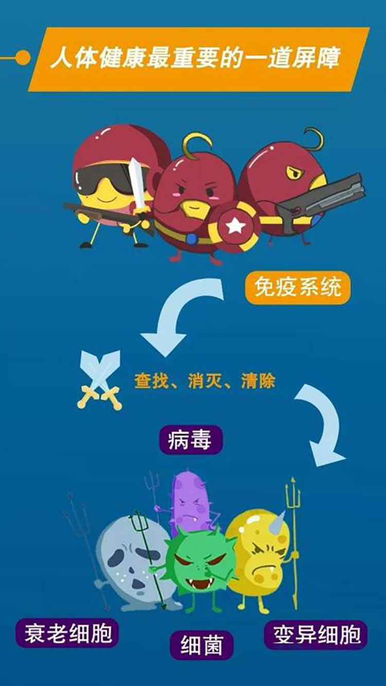 免疫系统中的“鱿鱼游戏”,需要有好的睡眠才能获胜。 免疫系统中的“鱿鱼游戏”,需要有好的睡眠才能获胜。