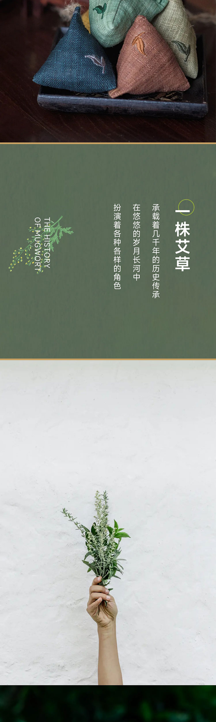 端午艾、艾草这么用有新发现