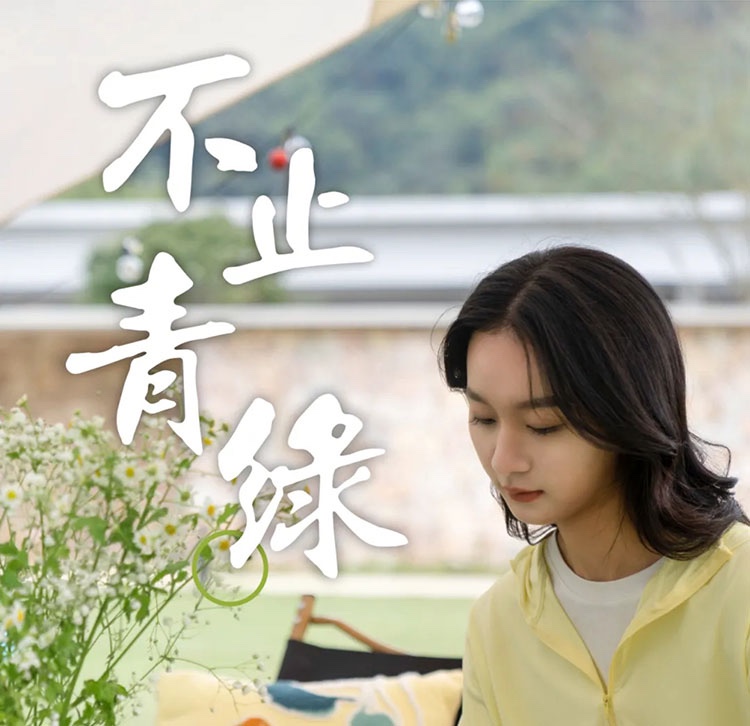 不止青绿，邂逅生活新色调