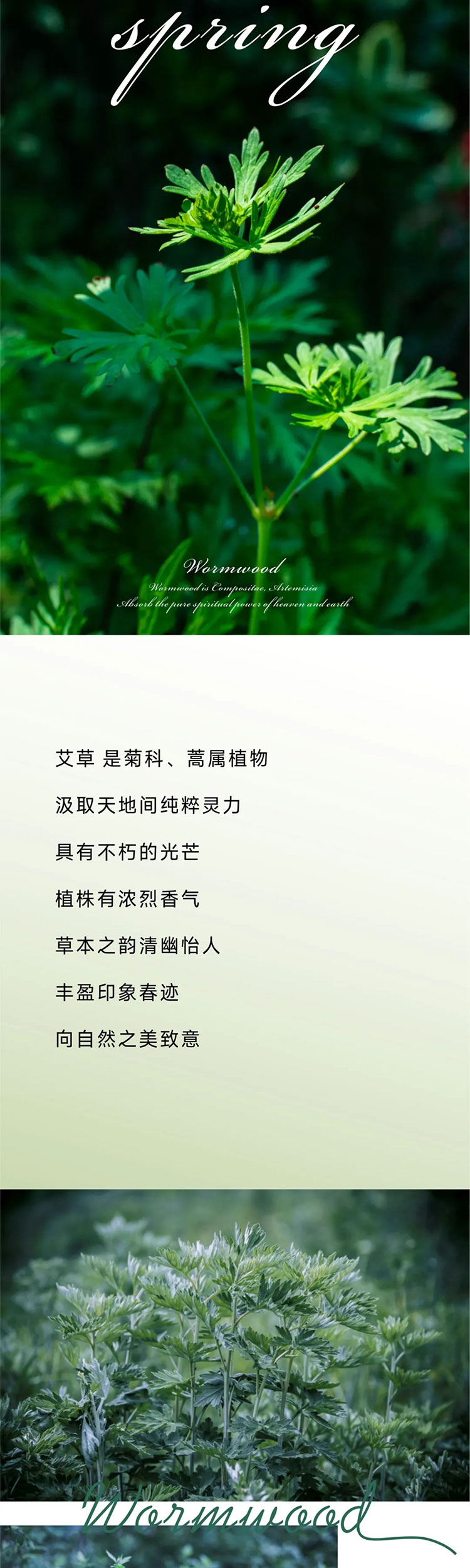 YOURMOON AG8公司人生就是博2022春夏艾草系列发布