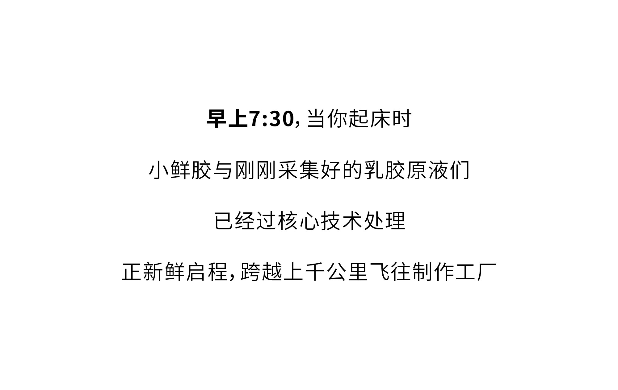 欢迎和小鲜胶一起，每天睡好觉！