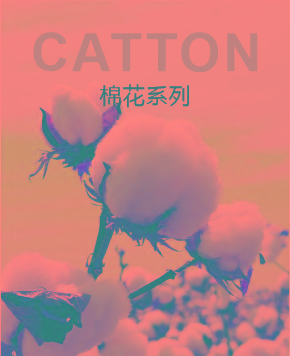 棉花系列