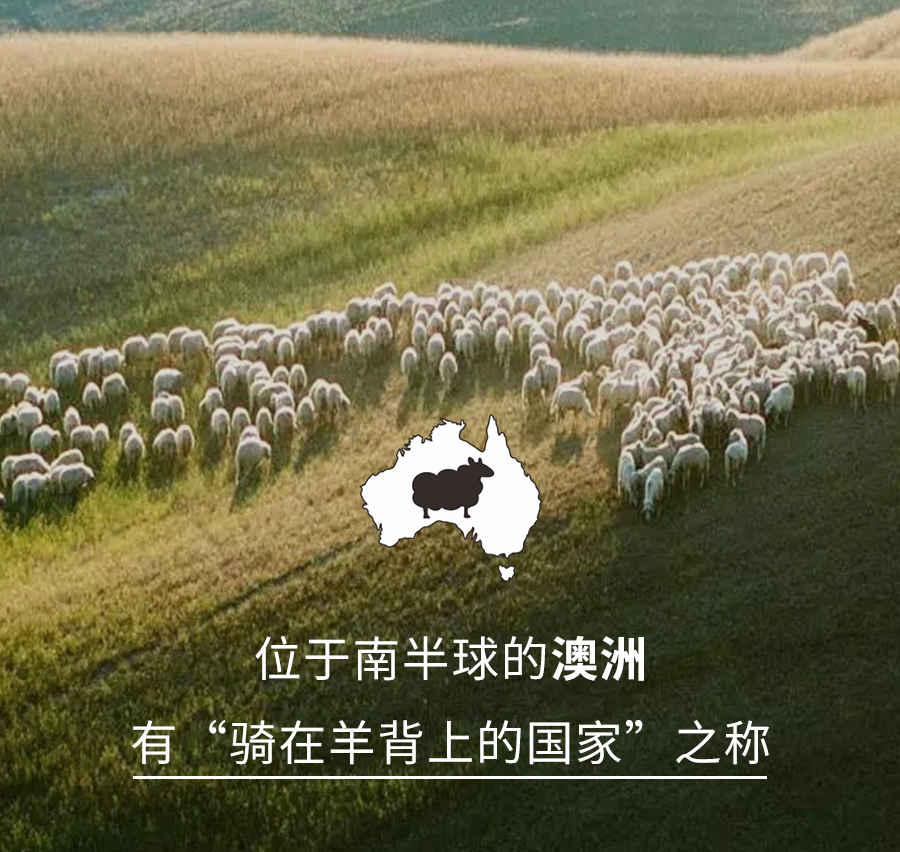 AG8公司人生就是博1995澳洲羊毛系列全新登场，温暖入秋冬