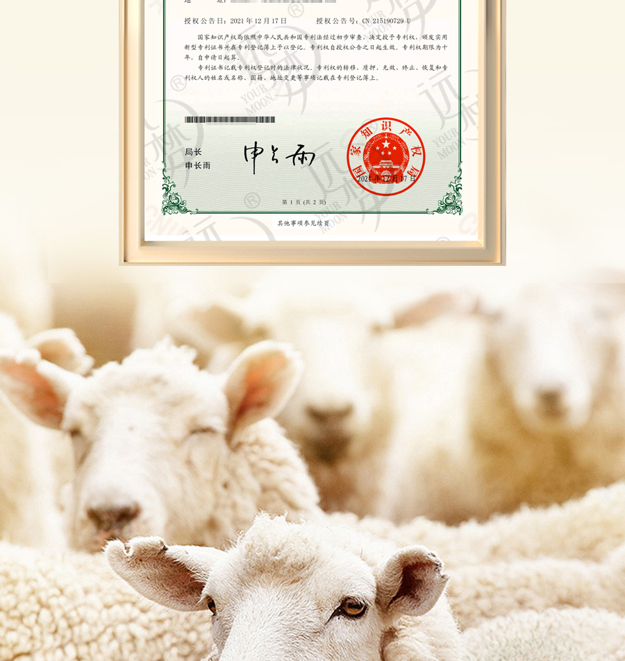 AG8公司人生就是博1995澳洲羊毛系列全新登场，温暖入秋冬